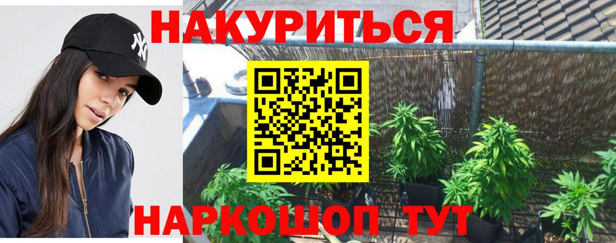 Конопля Bruce Banner Тобольск